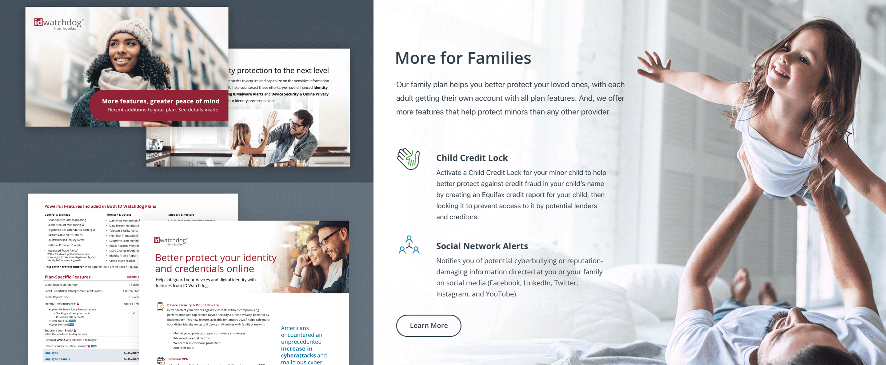 Collage including an ID Watchdog rebranded marketing mailer and summary of benefits one-pager.