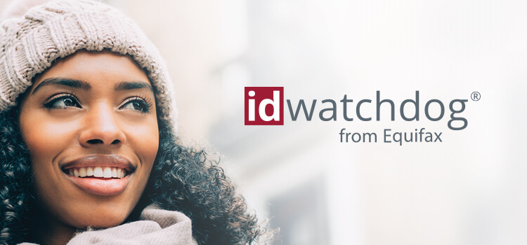 A young woman holding a dog works on a computer in the background. The idWatchdog logo and sample pages from the style guide are in the foreground.